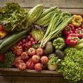 organik gıda ürünleri